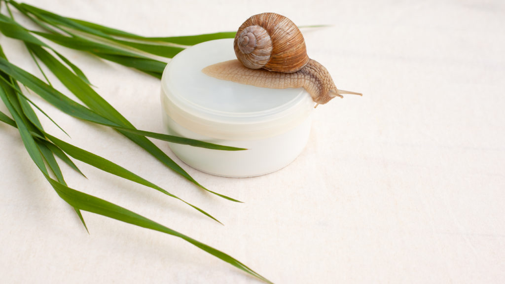 Side Effects With Snail Mucin