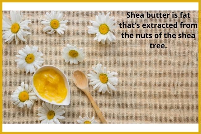 shea butter as an occlusive